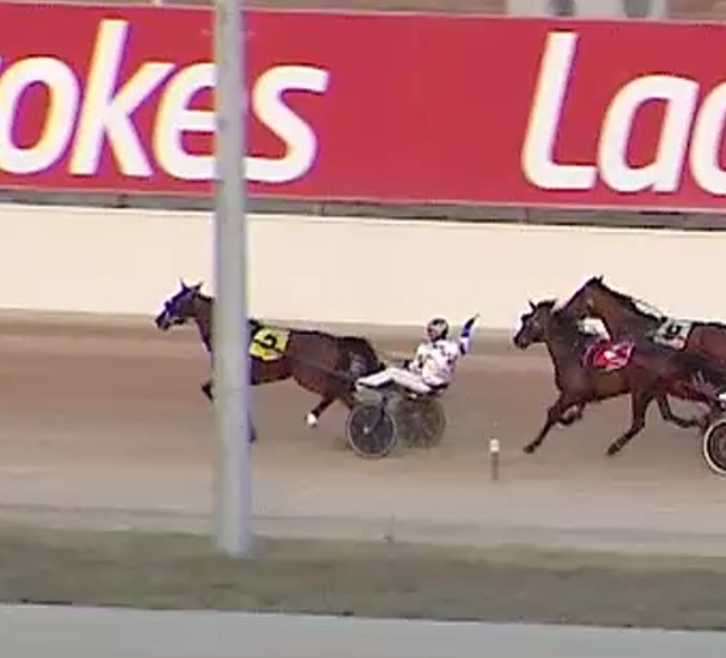 Why the Hell Does Anyone Bet on the SA Trots? – You Might as Well Grab a Match and Set Your Money on Fire