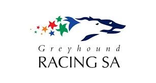 Have a Group of SA Greyhound Stewards Been Stood Down For Betting?