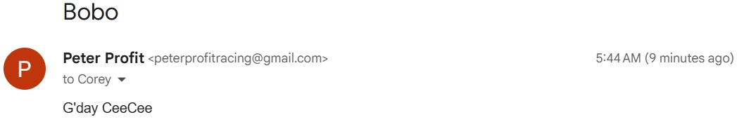 Dear CeeCee – I’m an Unrepresented Defendant With a Mental Illness – And You’re a C**t Who Snorts Too Much Coke