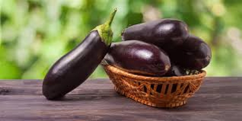 Positive Swab to Nicotine Metabolites Case Exposes the Ridiculous Nature of Harness Racing NSW Testing Levels