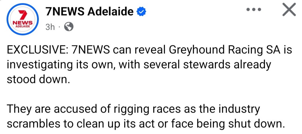 Spot on Sherlock – But What’s Going on Mr Watson?