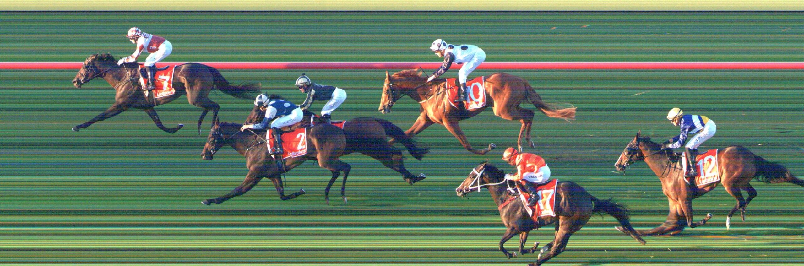 What an Absolute Balls Up – Heads Should Roll