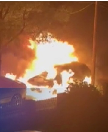 What Would Jesus Do?