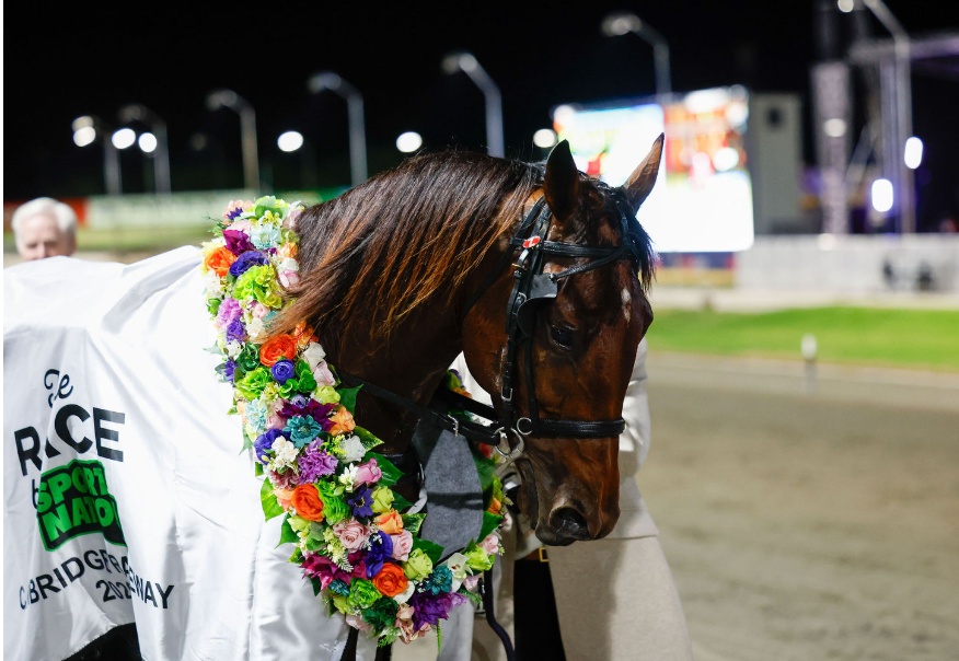 A Champion From Head To Toe – A Looker Too