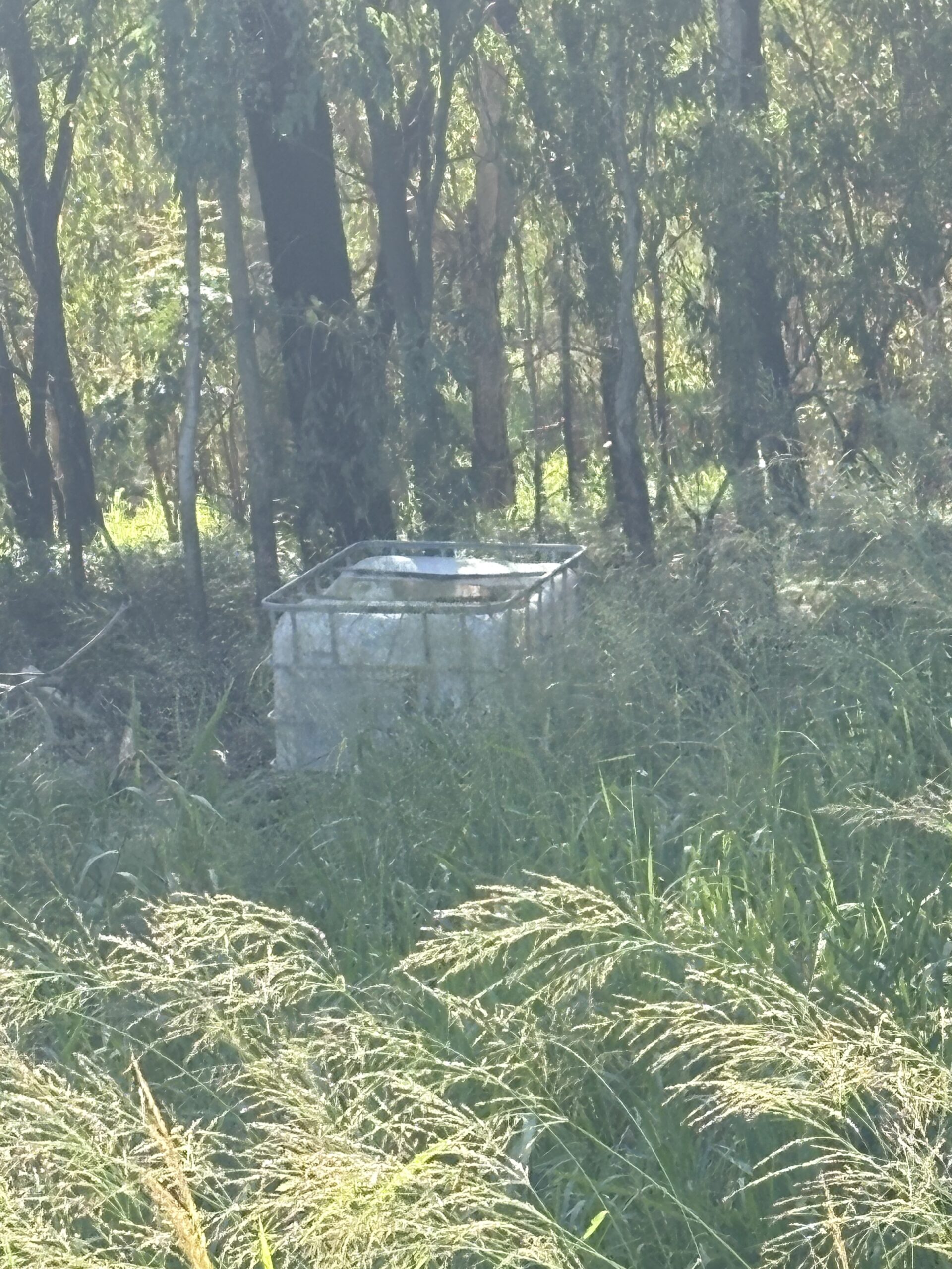 Shoot That Poison Arrow Through Our Hearts