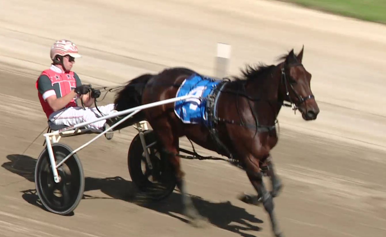 What Has Happened to Max?