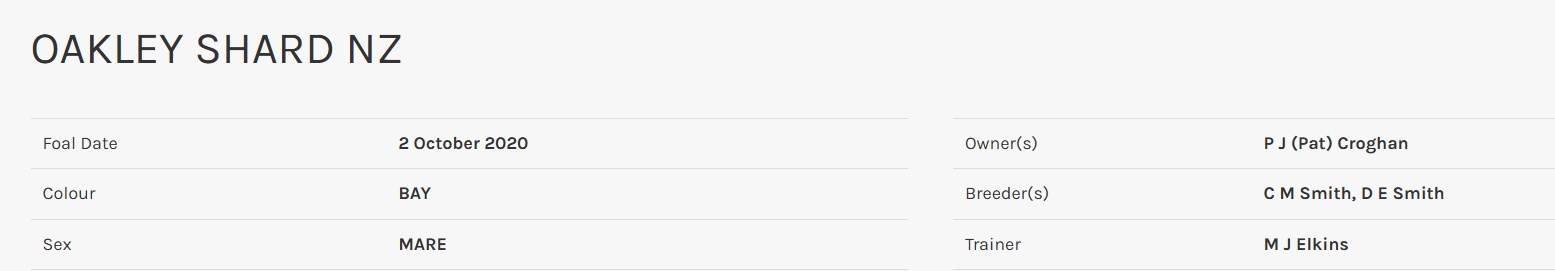 The Mare Than Matt and His Mate Pat Improved Our of Sight