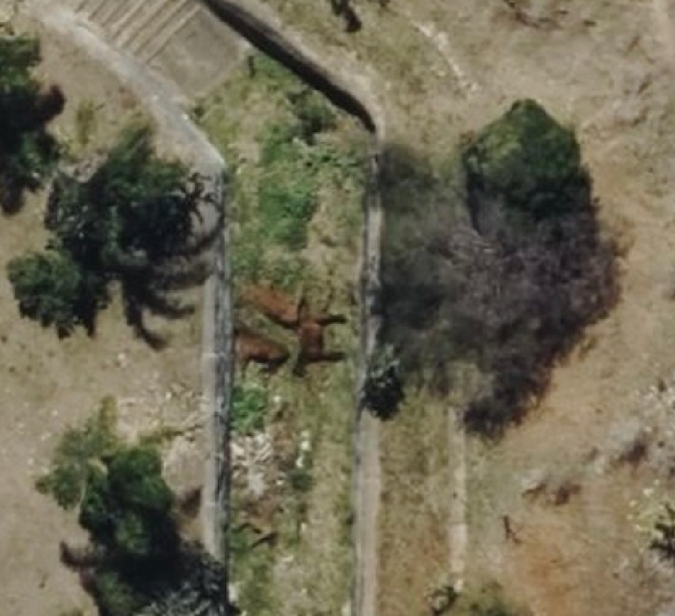 The Horror, The Horror – Part 1