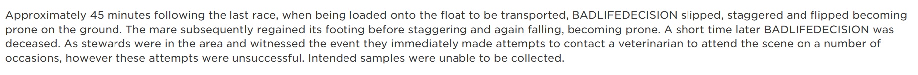 Badlifedecisions – WTF?