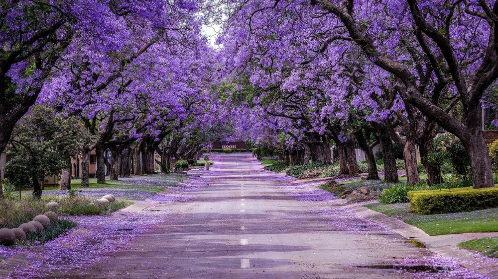Who Doesn’t Love the Spring?