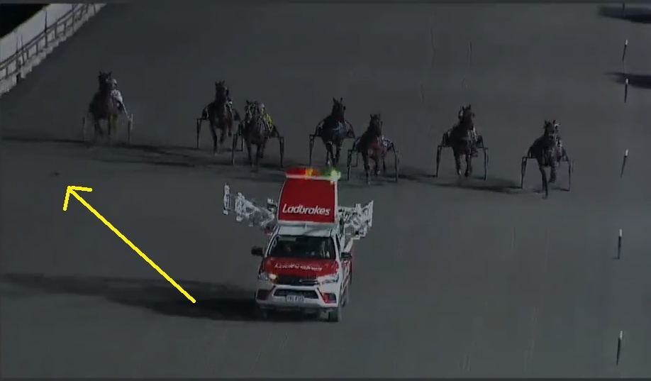 A UFO on the Track at Albion Park