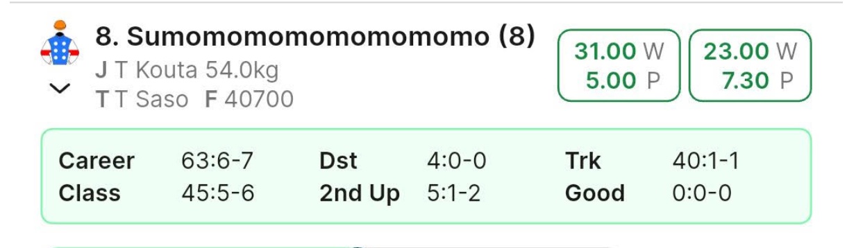 Racehorse Name of the Day