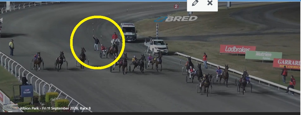 The Officiating at the Albion Park Trots Just Gets Worse