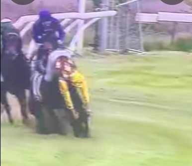 The Lives of Horses and Humans Are Far Too Important to Take any Chances