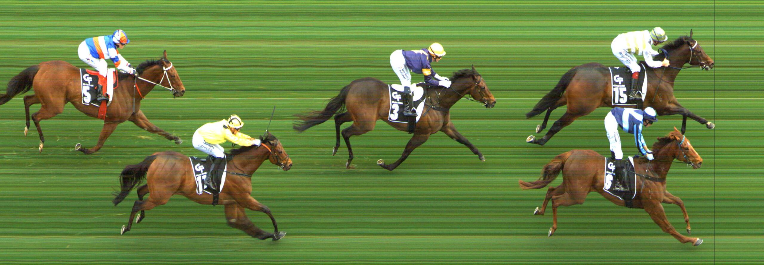 Ben Sits Up and Almost Gets Skybird Beat – When Will This Jockeys Learn